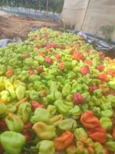 1da795af a7f7 49a7 a8a3 9982bbee1d39