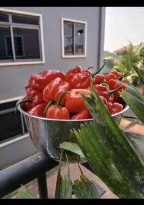 34add340 fb76 4d94 bab6 b2a7d3a52b10