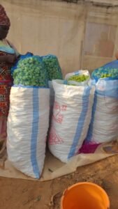 41517cbb 9bf1 44a6 8dbd 036886110ad2