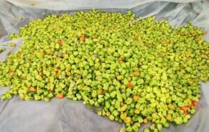 e681ddad ea47 4215 a04b 02a1d4393022